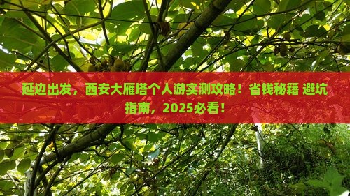 延边去西安大雁塔个人游