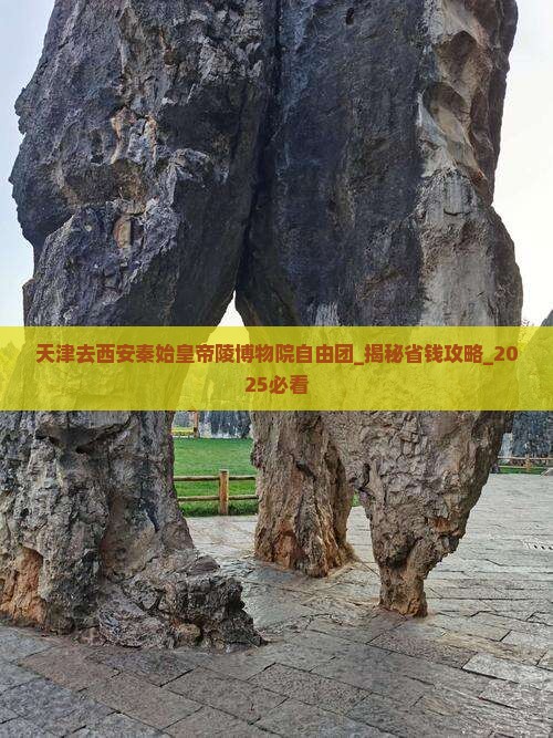 天津去西安秦始皇帝陵博物院自由团
