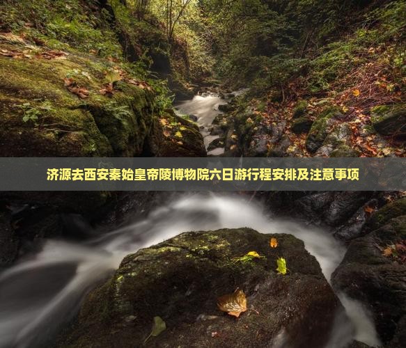 济源去西安秦始皇帝陵博物院六日游