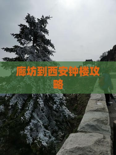 廊坊到西安钟楼门票