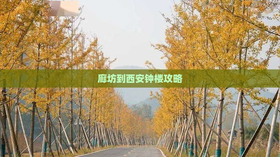 廊坊到西安钟楼门票