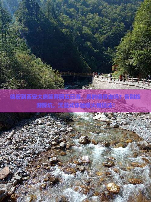 德宏到西安大唐芙蓉园五日游
