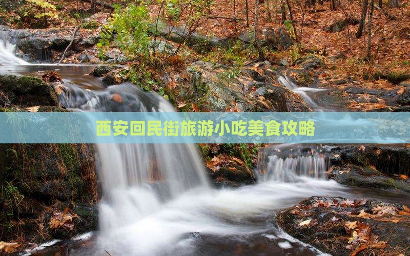 池州到西安回民街旅游小吃