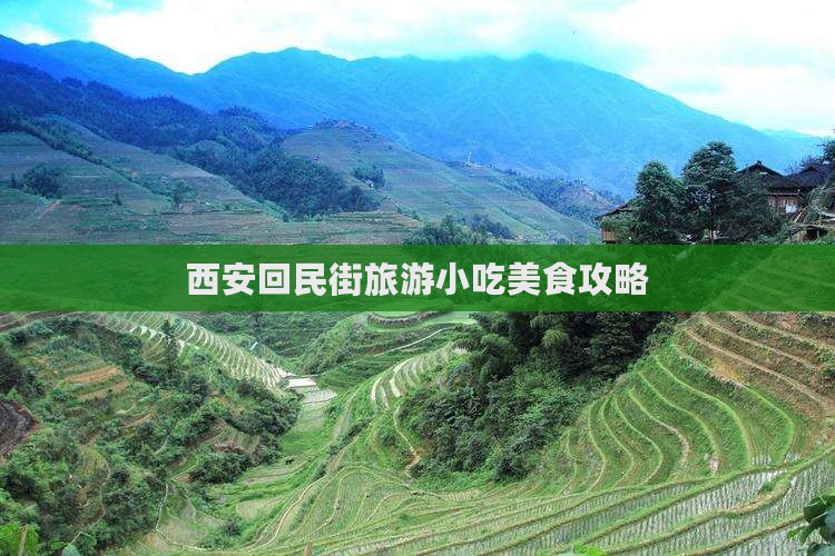 池州到西安回民街旅游小吃