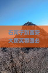 石河子到西安大唐芙蓉园景点