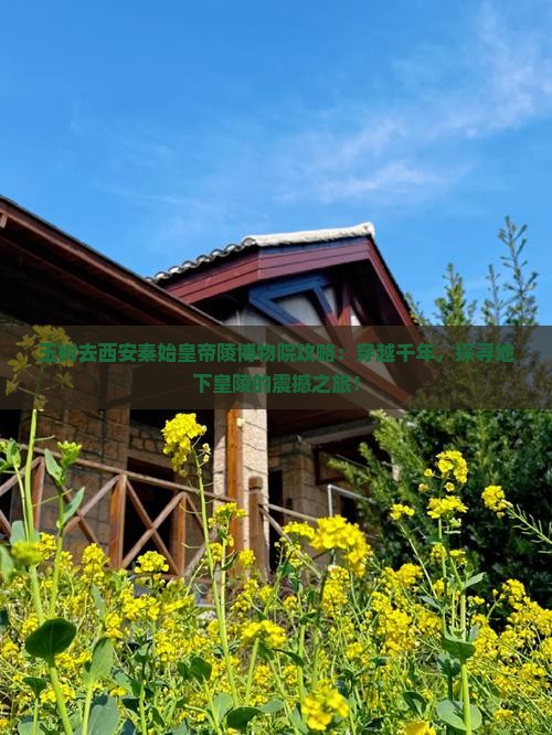 玉树去西安秦始皇帝陵博物院攻略