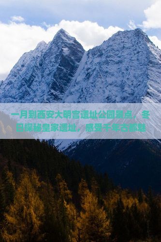 一月到西安大明宫国家遗址公园景点