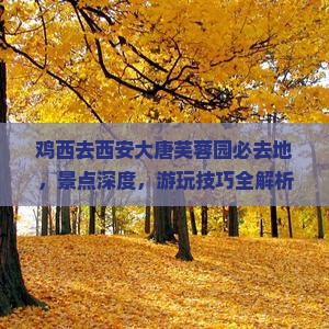 鸡西去西安大唐芙蓉园必去地