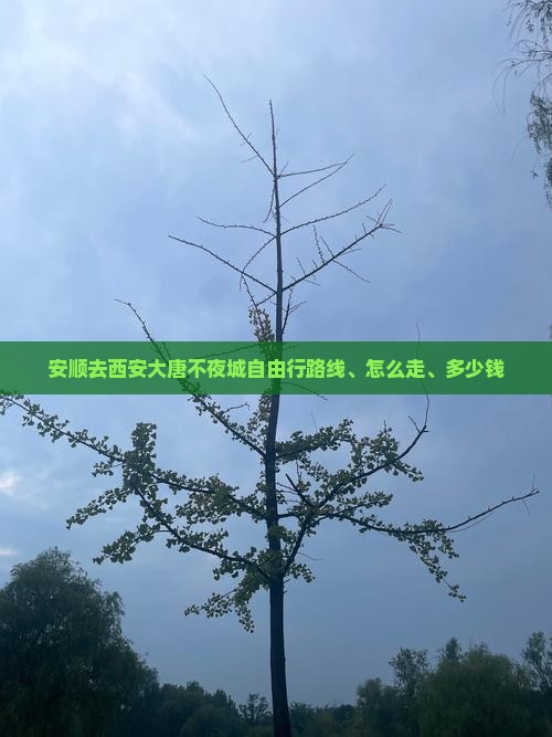 安顺去西安大唐不夜城自由行