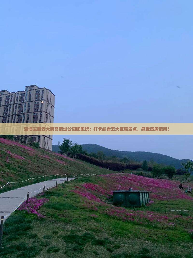 淄博去西安大明宫国家遗址公园哪里玩