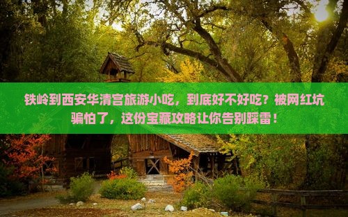 铁岭到西安华清宫旅游小吃