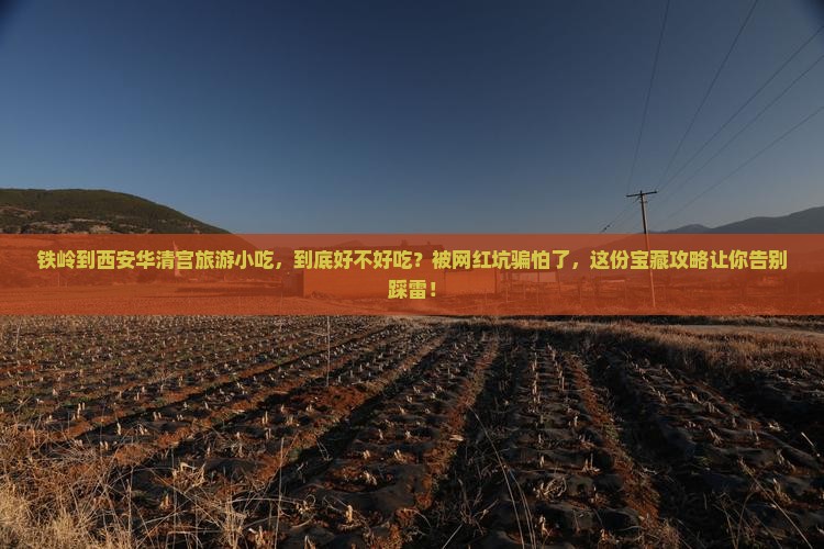 铁岭到西安华清宫旅游小吃