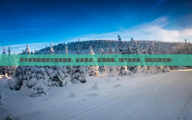 鄂尔多斯到西安大雁塔旅游