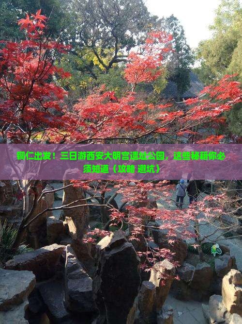 铜仁去西安大明宫国家遗址公园三日游