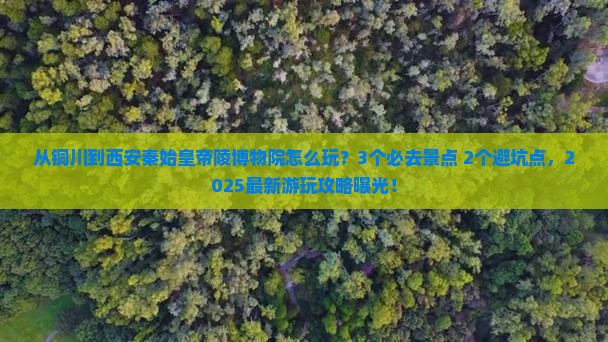 铜川到西安秦始皇帝陵博物院哪里玩