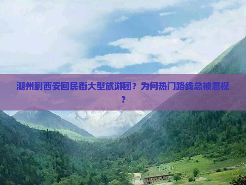 湖州到西安回民街大型旅游团