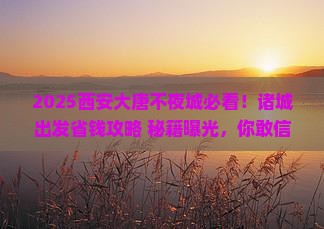 诸城去西安大唐不夜城必去地