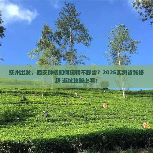 抚州到西安钟楼攻略