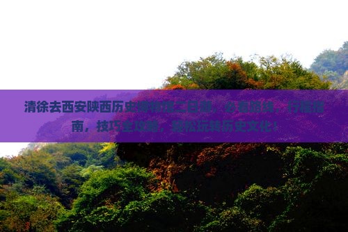 清徐去西安陕西历史博物馆二日游