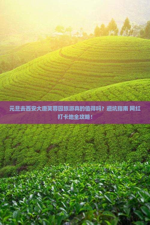 元旦去西安大唐芙蓉园旅游