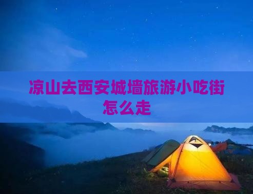凉山去西安城墙旅游小吃