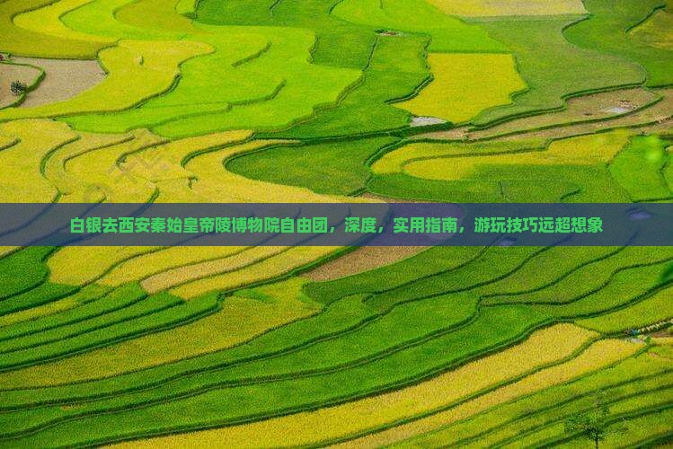 白银去西安秦始皇帝陵博物院自由团
