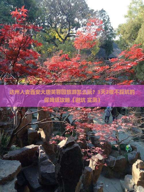 达州去西安大唐芙蓉园旅游