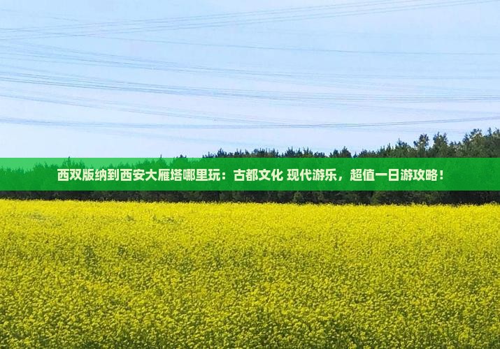 西双版纳到西安大雁塔哪里玩