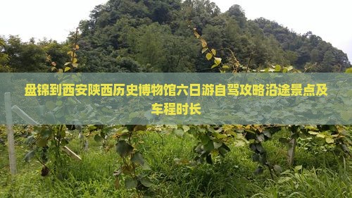 盘锦到西安陕西历史博物馆六日游