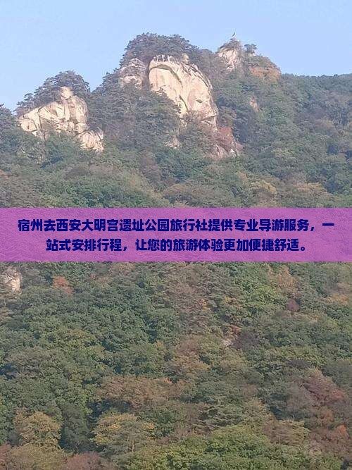 宿州去西安大明宫国家遗址公园旅行社
