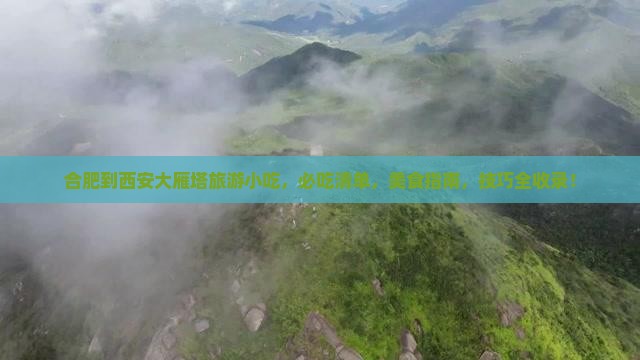 合肥到西安大雁塔旅游小吃