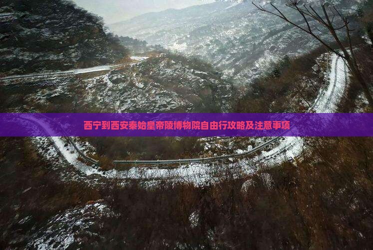 西宁到西安秦始皇帝陵博物院自由行