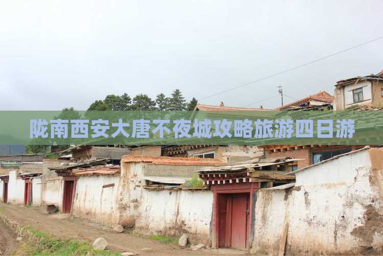 陇南去西安大唐不夜城四日游