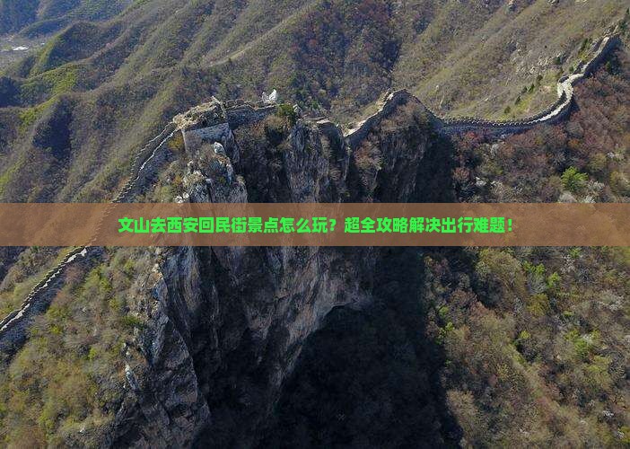 文山去西安回民街景点