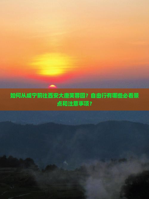 如何从咸宁前往西安大唐芙蓉园？自由行有哪些必看景点和注意事项？