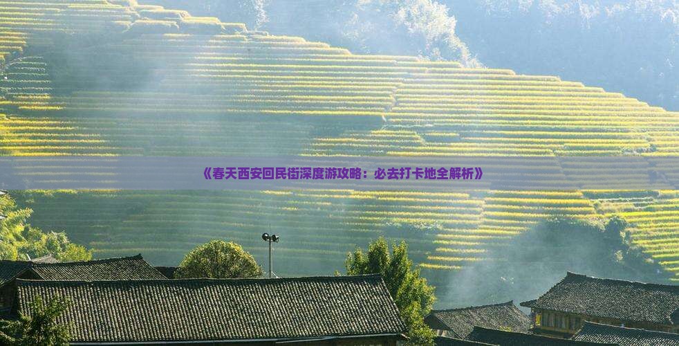《春天西安回民街深度游攻略：必去打卡地全解析》