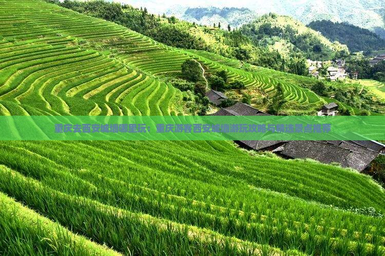 重庆去西安城墙哪里玩：重庆游客西安城墙游玩攻略与精选景点推荐