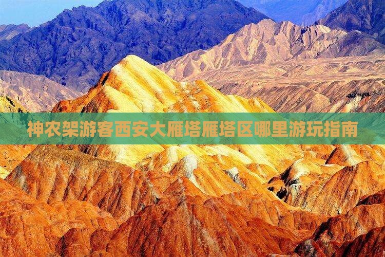 神农架游客西安大雁塔雁塔区哪里游玩指南