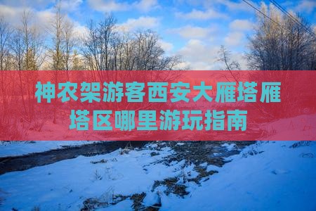 神农架游客西安大雁塔雁塔区哪里游玩指南