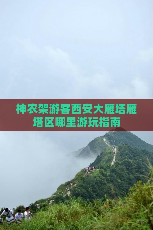 神农架游客西安大雁塔雁塔区哪里游玩指南