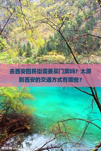 去西安回民街需要买门票吗？太原到西安的交通方式有哪些？