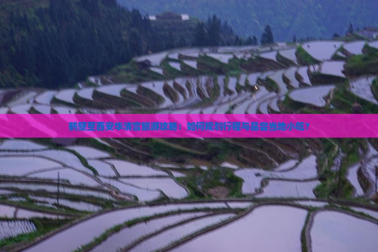 鹤壁至西安华清宫旅游攻略：如何规划行程与品尝当地小吃？
