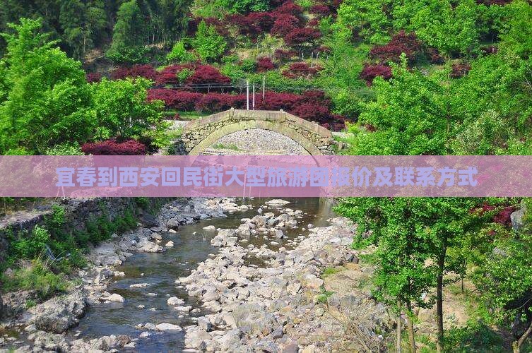 宜春到西安回民街大型旅游团报价及联系方式