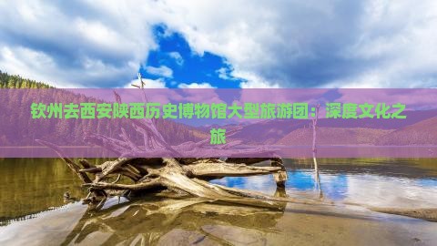 钦州去西安陕西历史博物馆大型旅游团：深度文化之旅