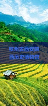 钦州去西安陕西历史博物馆大型旅游团：深度文化之旅