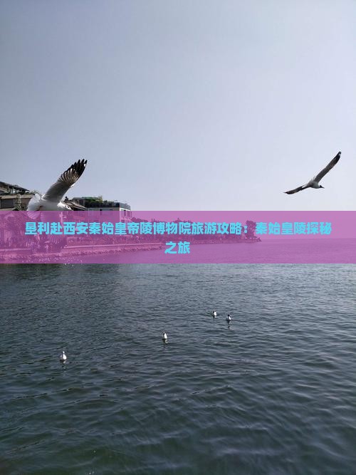 垦利赴西安秦始皇帝陵博物院旅游攻略：秦始皇陵探秘之旅