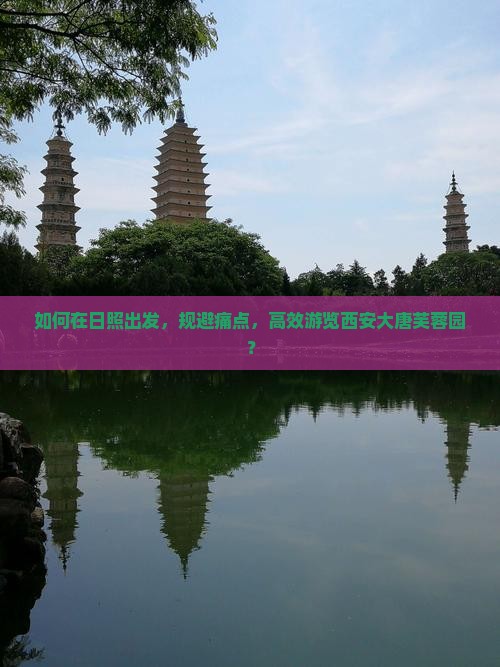 如何在日照出发，规避痛点，高效游览西安大唐芙蓉园？