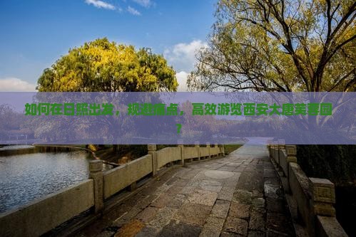 如何在日照出发，规避痛点，高效游览西安大唐芙蓉园？