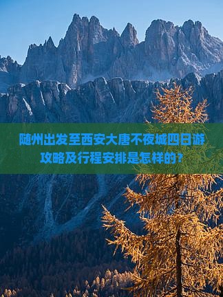 随州出发至西安大唐不夜城四日游攻略及行程安排是怎样的？