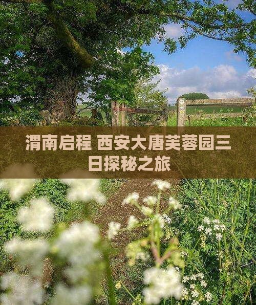 渭南启程 西安大唐芙蓉园三日探秘之旅